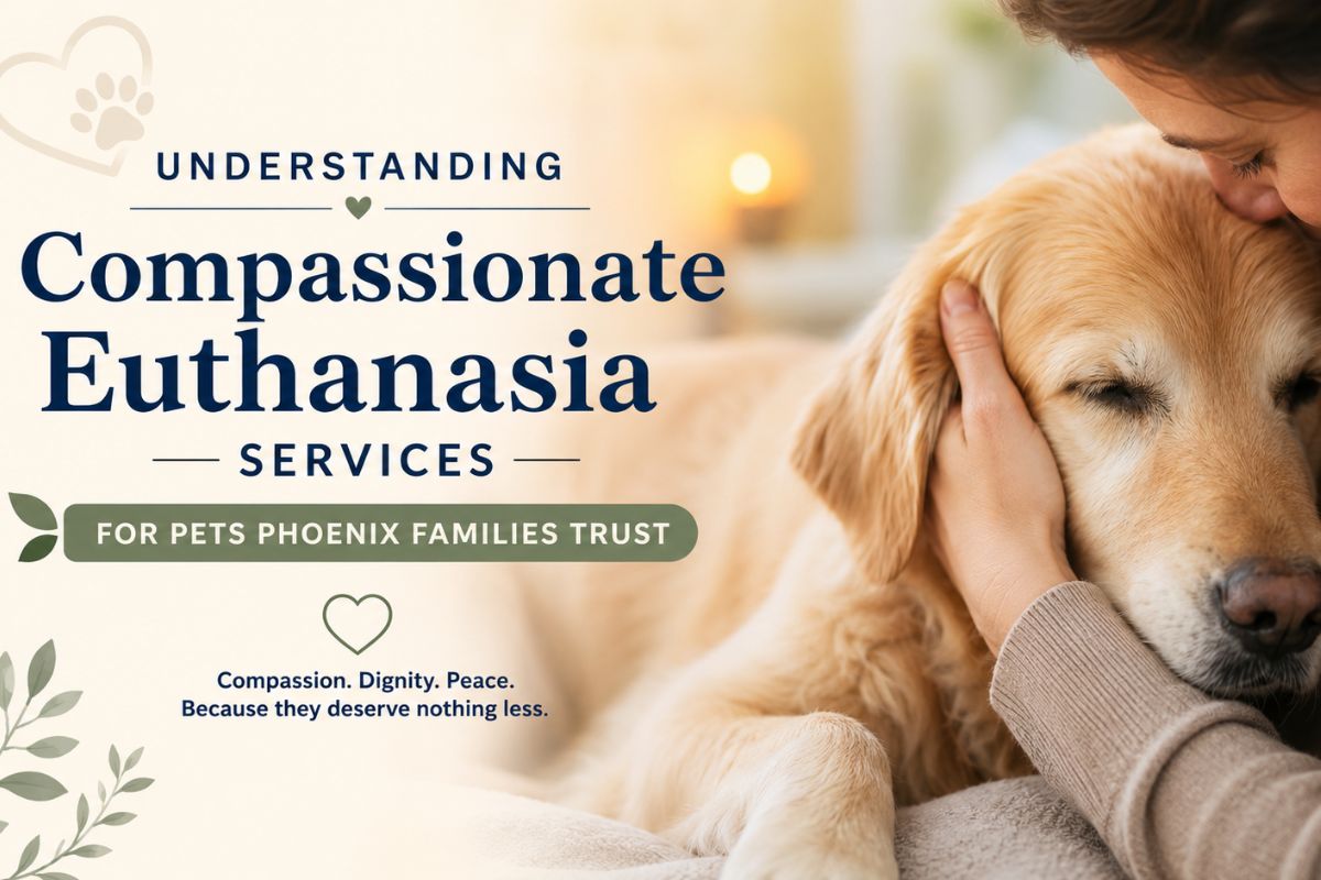 Compassionate Euthanasia Services for Pets Phoenix