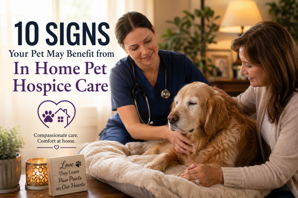 In-Home Pet Hospice